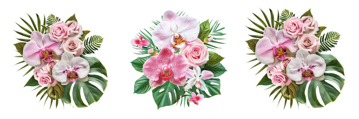 Set of pink rose and tropical orchid flowers with green leaves floral arrangement, isolated on transparent background
