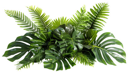 Tropical vibes plant bush floral arrangement with tropical leaves Monstera and fern, isolated on transparent background
