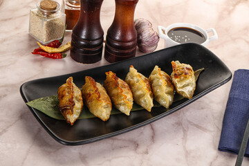 Fried Japanese stuffed dumplings - Gyoza
