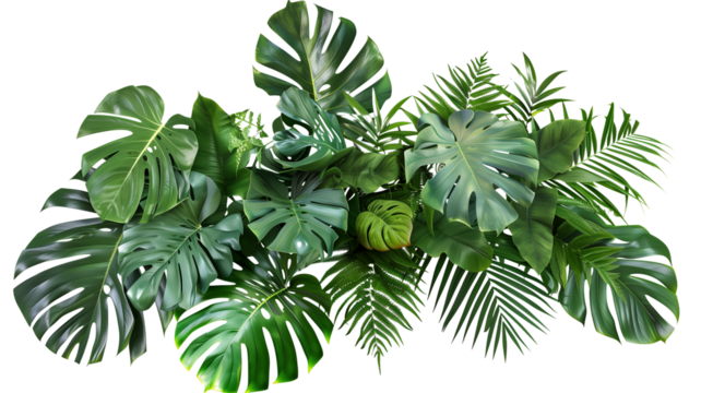 Tropical vibes plant bush floral arrangement with tropical leaves Monstera and fern, isolated on transparent background