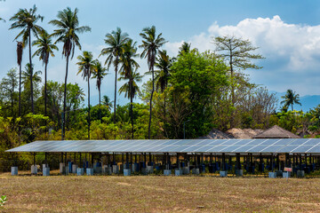 Small solar power generating farm on a small tropical island (Gili Air, Lombok, Indonesia)