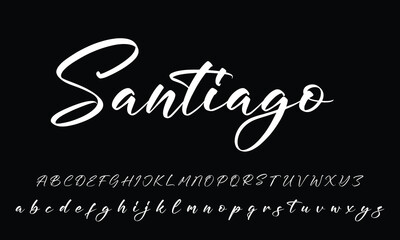 Signature Font Calligraphy Logotype Script Brush Font Type Font lettering handwritten