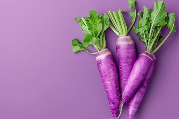 Three Purple Carrots With Green Tops on a Purple Background