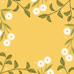 Hand drawn daisy flowers and botanical flower background with copy spaces.