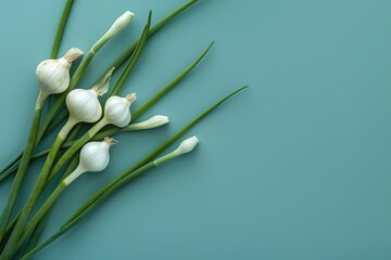Bouquet of White Flowers on Blue Background