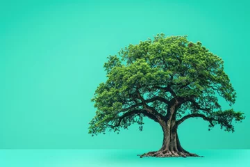 Photo sur Plexiglas Corail vert Green Tree on Blue Background