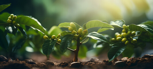 an image that captures the essence of sustainability in coffee farming, ai generative