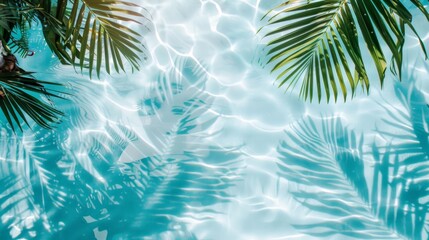 Fototapeta na wymiar Tropical Palm Shadows on Clear Pool Water