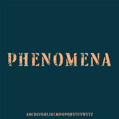 luxury and elegant font glamour style