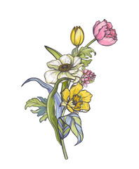 Vector composition of spring flowers, leaves and branches. Different flowers, tulips, anemones and other plants in beautiful bouquet.