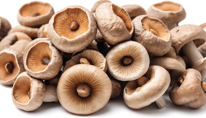 dry shiitake mushrooms isolated on white background