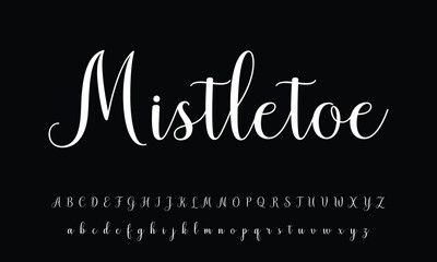 signature Font Calligraphy Logotype Script Brush Font Type Font lettering handwritten