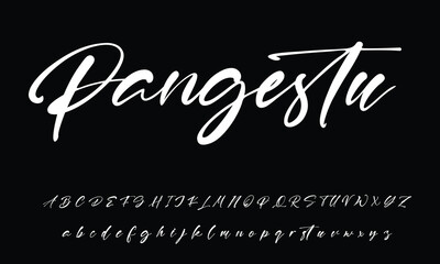 Signature Font Calligraphy Logotype Script Brush Font Type Font lettering handwritten