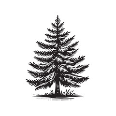 vector pine tree Silhouette ilustrations - 002