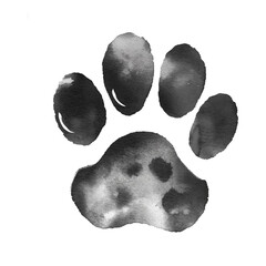 black paw watercolor good quality and good design - obrazy, fototapety, plakaty