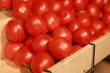 Red Tomato in Basket