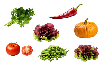 Set of different vegetables such as tomato,red chili,coriander,pumpkin,green peas, and red oak salad isolated on transparent background.