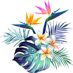 Fototapeta na wymiar Tropical bouquet. Plumeria, monstera, paradise flower, palm leaf