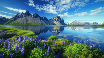 Tuinposter Stokksnes, Iceland with the Stordspecies of vestrahorn mountain in the background, a small lake and blue skies, purple flowers, green grass © Kien