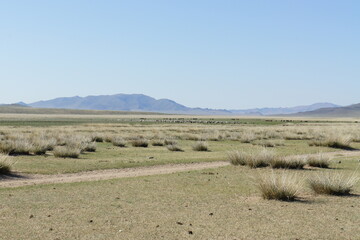 landscape with mountains