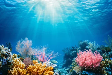 Fotobehang Photo coral reef in the sea © yuniazizah