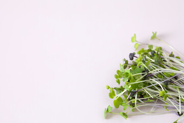 Closeup angle view of a pile of fresh micro greens on light pink nackground with copy space