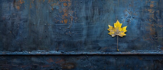   A yellow leaf resting atop rusty metal walls with peeling paint