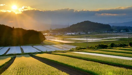 日本の農家