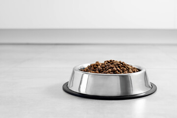 Dogs' food in metal a plate. Dry animal feed in a bowl close up. Dry food for puppies or dogs in a...