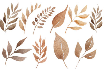 boho leaves and minimalist leaves with boho leaves painting and boho leaves PNG. minimal leaf design with leaves illustration and PNG leaves illustration. boho botanical, red leaves, brown leaves.