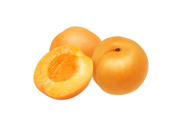 あんずのイラスト リアル