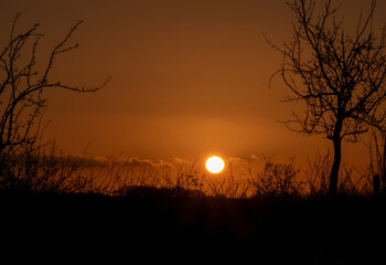 Sonne im Gegenlicht. Sonnenuntergang im Paderborner Land am Teutoburger Wald