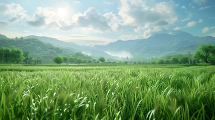 Gordijnen Rice field landscape beautiful countryside photo © JetHuynh