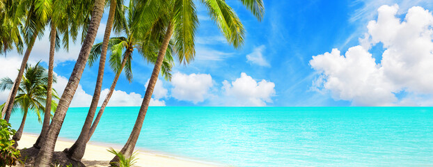 Tropical island paradise sea beach, ocean water, green coconut palm tree leaves, sand, sun blue sky...