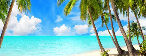 Poster Tropical island paradise sea beach, ocean water, green coconut palm tree leaves, sand, sun blue sky cloud, beautiful nature panorama landscape, Caribbean, Maldives, Thailand, summer holidays, vacation © Vera NewSib