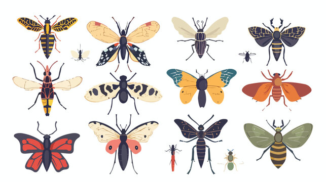 Vintage Insects Reference Illustration Science Flat vector