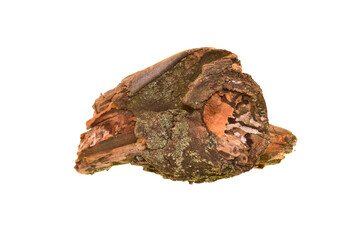 tree knot isolated on white background