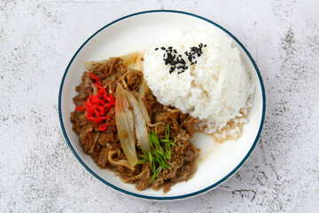 Freshly cooked beef gyudon with rice