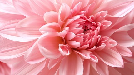 macro view of pink flower petals with an abstract background, focusing on the beauty and vibrant color of the petals, and the delicate details of the floral texture