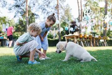 Naklejka na ściany i meble Children playing with a small puppy at a family garden party. Portrait of little boy and girl on grass with Golden retriever puppy.