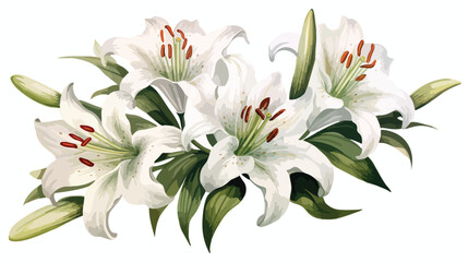 White Lily Watercolor Flower Flat vector 
