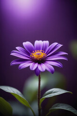 Obraz premium A close-up view of a vibrant purple flower standing out against a lush purple background, creating a visually striking contrast