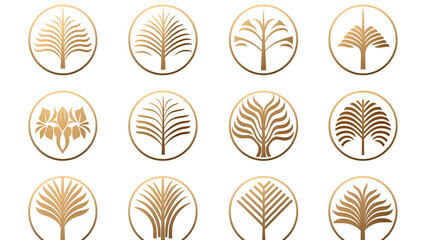 set of icons of wheat Set of logos  and symbol with Golden tropical palm leaf isolated on white background star and golden laurel gold prize elements 