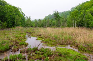 Westmoreland State Park in Westmoreland County, Virginia