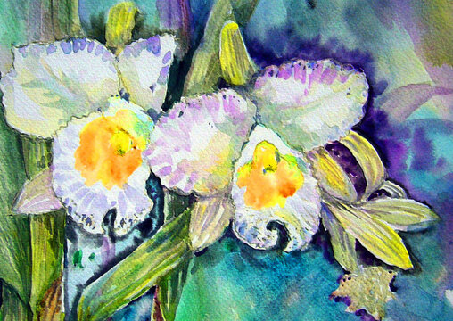 abstract color backgrounds for design art watercolor painting   orchid flower	