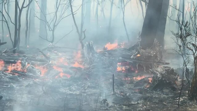 Bushfire and Hazard Reduction in Australia