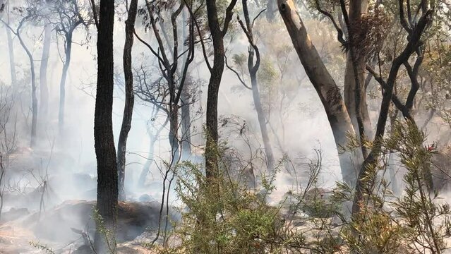 Bushfire and Hazard Reduction in Australia