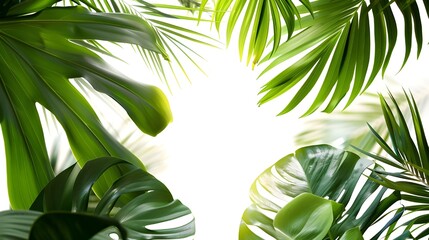 The green leaves of tropical plants, highlighted on a white background in the form of a shrub, create a cozy and relaxing atmosphere in the interior of the room.