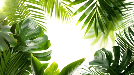 The natural green pattern of tropical leaves, creating the effect of a shrub, on a white background is an ideal addition to a modern interior.