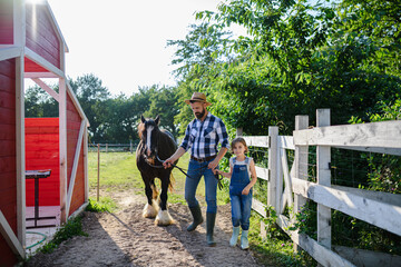 Father and young daughter taking care of a horse on a farm, leading it to the paddock. Concept of multigenerational farming.
